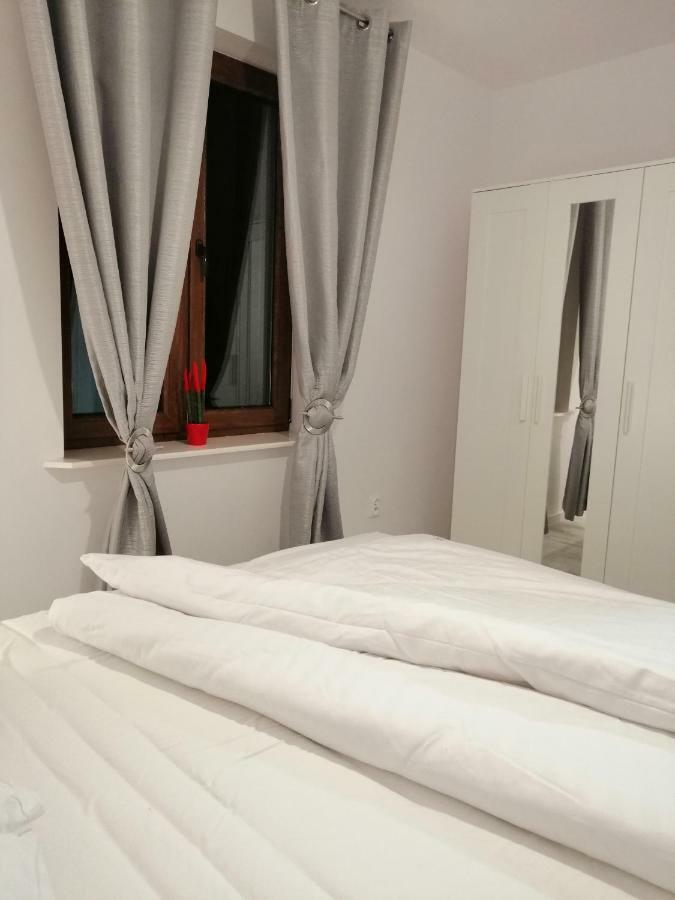 Apartment Homole C2